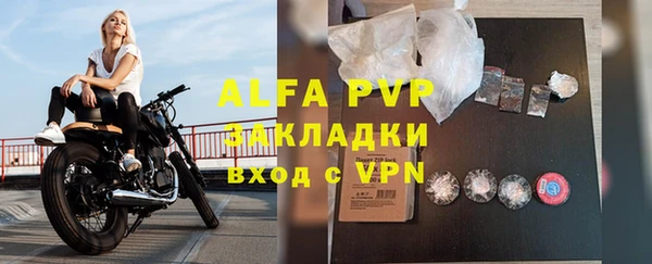 индика Аркадак