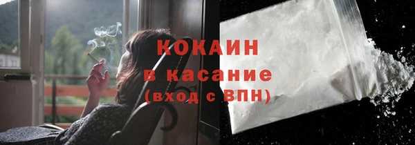 сатива Армянск