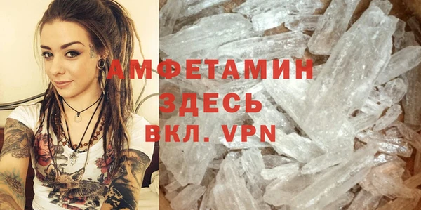 индика Аркадак