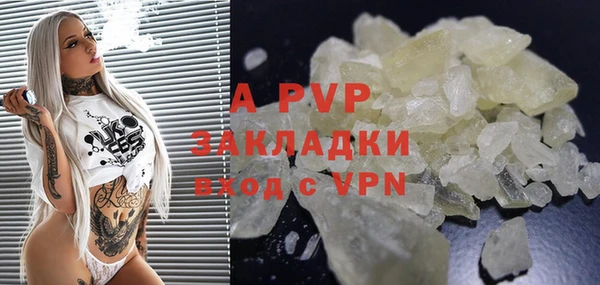 индика Аркадак