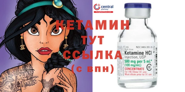 индика Аркадак
