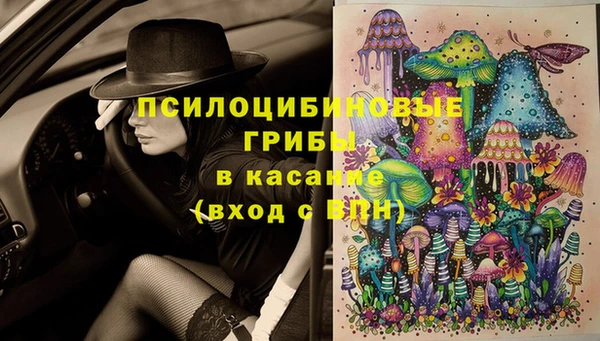 индика Аркадак