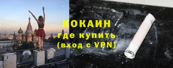 индика Аркадак